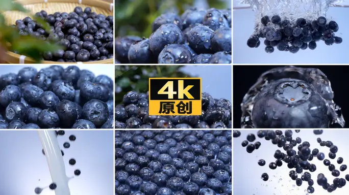 收藏向岛遇攻略：老用户迁移到新版时需要注意的细节（2025使用版）