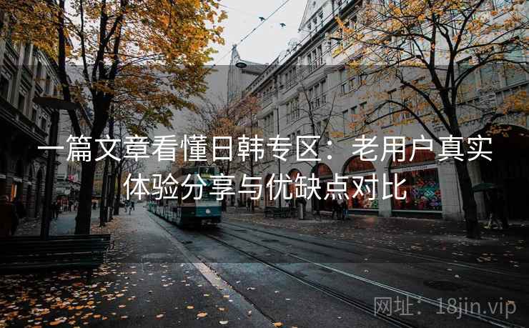 一篇文章看懂日韩专区:老用户真实体验分享与优缺点对比 一篇文章看懂日韩专区:老用户真实体验分享与优缺点对比