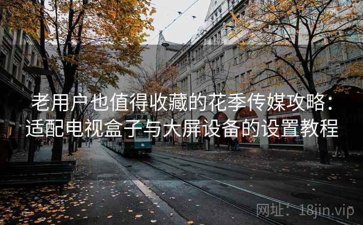 老用户也值得收藏的花季传媒攻略：适配电视盒子与大屏设备的设置教程