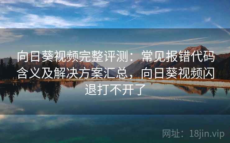 向日葵视频完整评测：常见报错代码含义及解决方案汇总，向日葵视频闪退打不开了