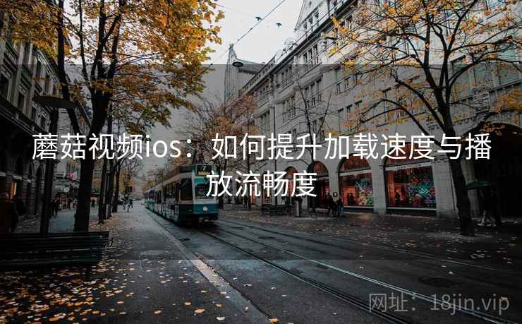 蘑菇视频ios：如何提升加载速度与播放流畅度