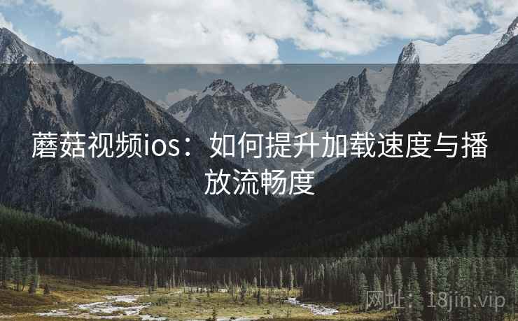 蘑菇视频ios：如何提升加载速度与播放流畅度