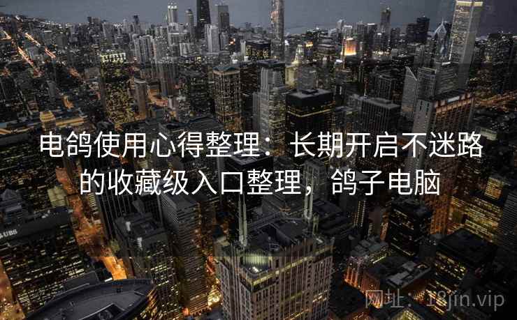 电鸽使用心得整理：长期开启不迷路的收藏级入口整理，鸽子电脑