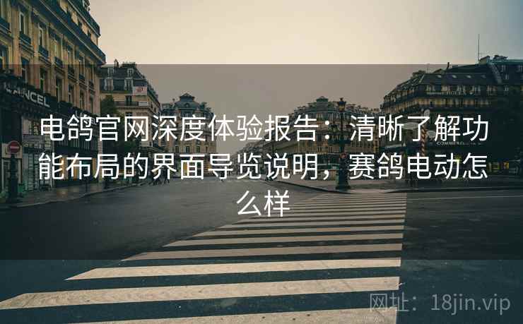 电鸽官网深度体验报告：清晰了解功能布局的界面导览说明，赛鸽电动怎么样