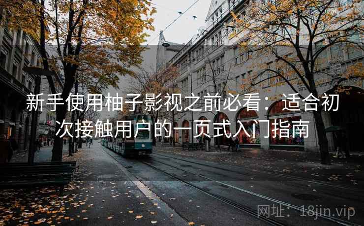 新手使用柚子影视之前必看：适合初次接触用户的一页式入门指南