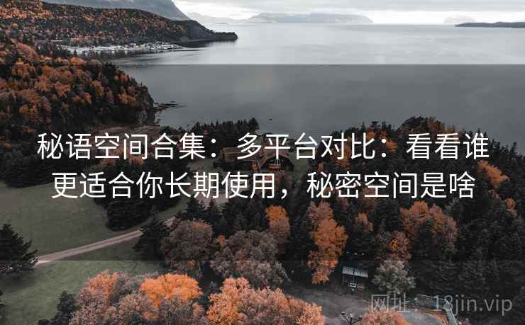 秘语空间合集：多平台对比：看看谁更适合你长期使用，秘密空间是啥