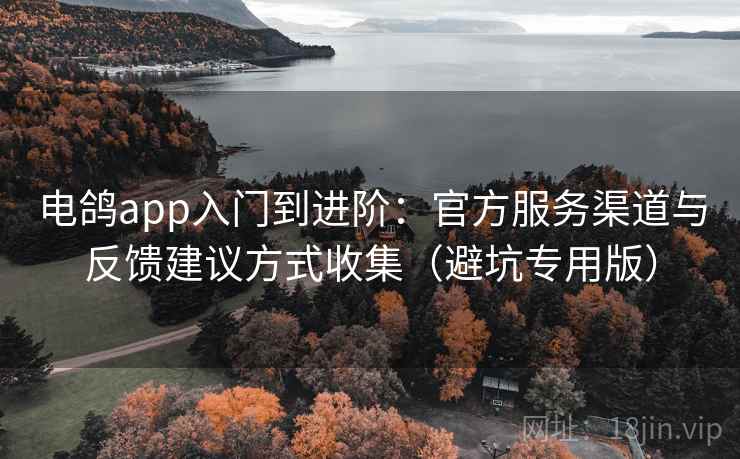电鸽app入门到进阶：官方服务渠道与反馈建议方式收集（避坑专用版）