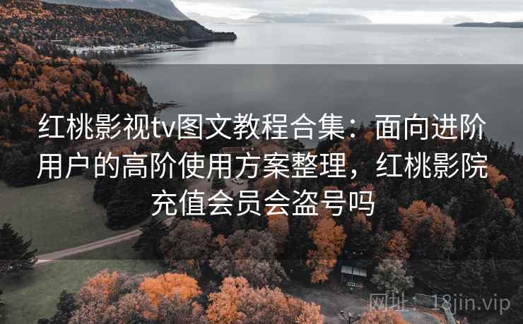红桃影视tv图文教程合集：面向进阶用户的高阶使用方案整理，红桃影院充值会员会盗号吗