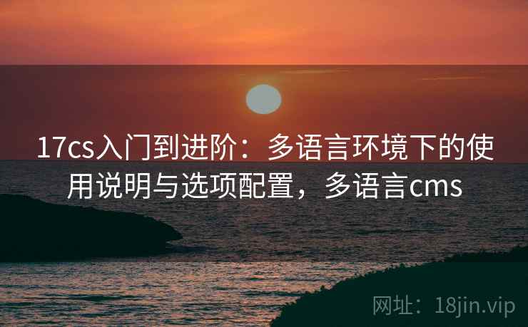 17cs入门到进阶：多语言环境下的使用说明与选项配置，多语言cms