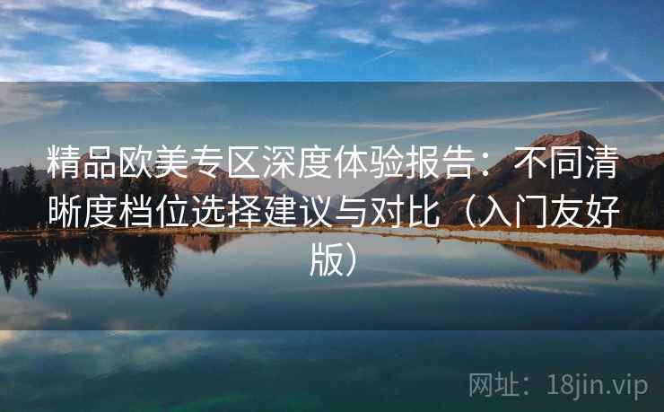 精品欧美专区深度体验报告：不同清晰度档位选择建议与对比（入门友好版）