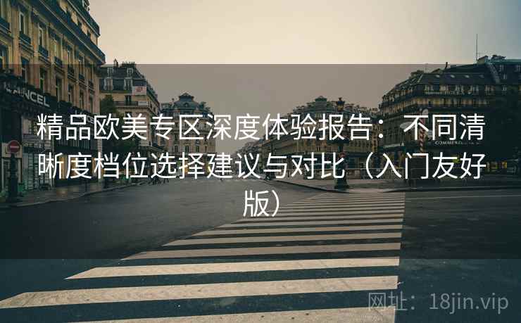 精品欧美专区深度体验报告：不同清晰度档位选择建议与对比（入门友好版）
