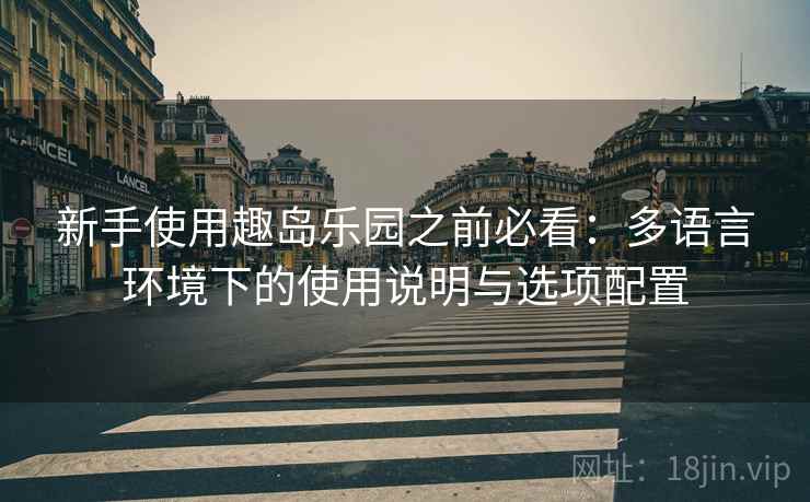 新手使用趣岛乐园之前必看：多语言环境下的使用说明与选项配置