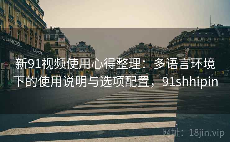 新91视频使用心得整理：多语言环境下的使用说明与选项配置，91shhipin