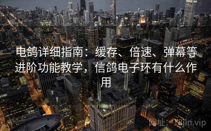 电鸽详细指南：缓存、倍速、弹幕等进阶功能教学，信鸽电子环有什么作用