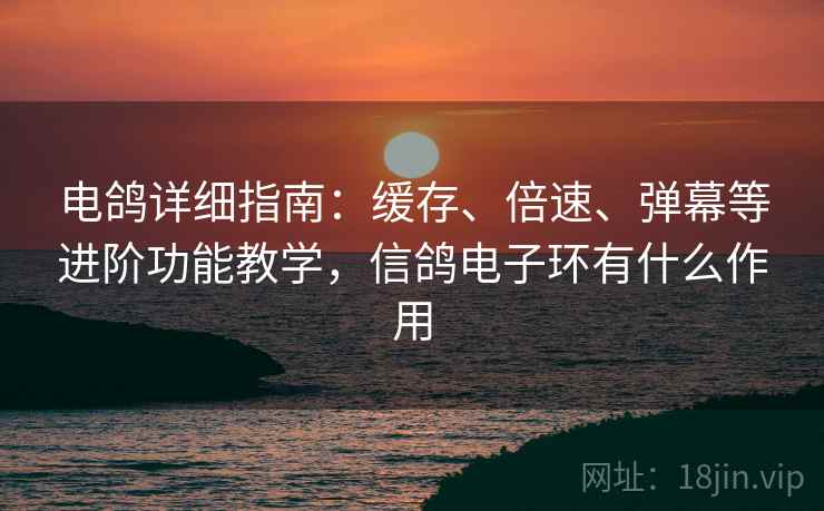 电鸽详细指南：缓存、倍速、弹幕等进阶功能教学，信鸽电子环有什么作用