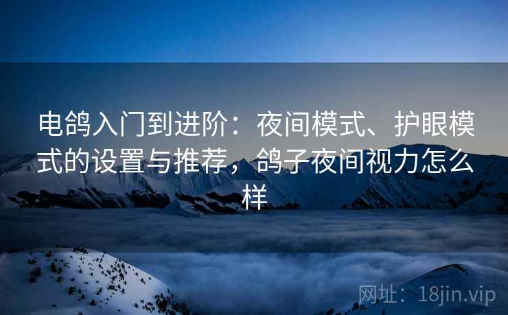 电鸽入门到进阶：夜间模式、护眼模式的设置与推荐，鸽子夜间视力怎么样