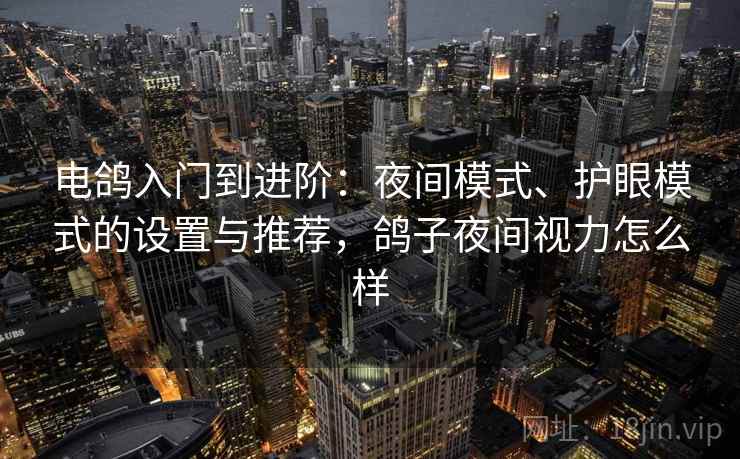 电鸽入门到进阶：夜间模式、护眼模式的设置与推荐，鸽子夜间视力怎么样