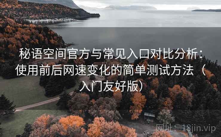 秘语空间官方与常见入口对比分析：使用前后网速变化的简单测试方法（入门友好版）