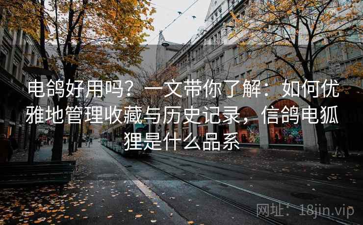 电鸽好用吗？一文带你了解：如何优雅地管理收藏与历史记录，信鸽电狐狸是什么品系