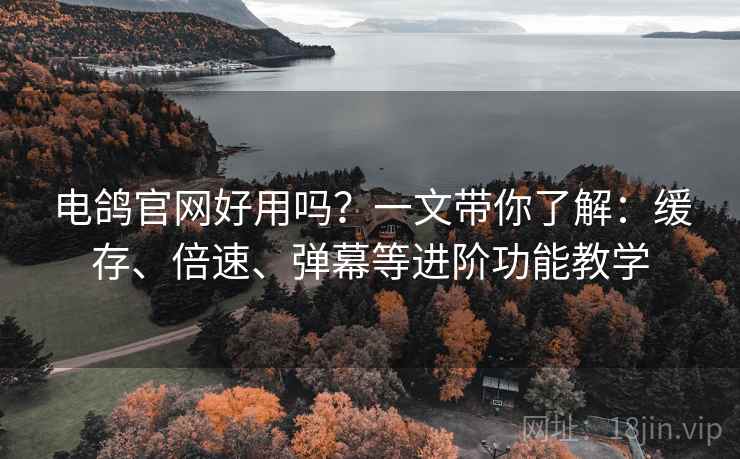 电鸽官网好用吗？一文带你了解：缓存、倍速、弹幕等进阶功能教学